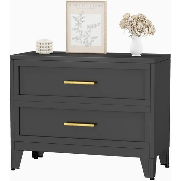 Metal Dresser for Bedroom 2 Drawers Dresser Metal Storage Dressers Organizer,24.8" H Black Drawer Chest, Closet Organizers for Living Room, Hallway, Closet