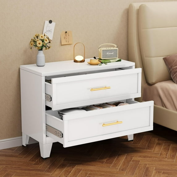 Metal Dressers with 2 Drawers,Tall Wide Deep Dresser Chest of Drawers Cabinet, Storage Cabinet with Drawer Organizer Unit for Clothes, Bedroom, Living Room, Hallway, Entryway