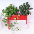Metal Elevated Outdoor Flowerpot Box, Mini Elevated Garden Bed for