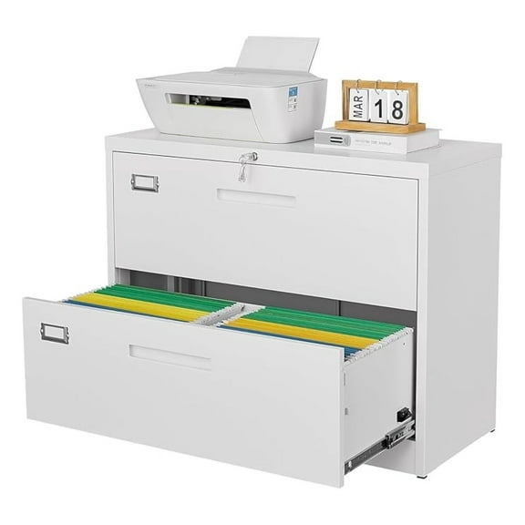 Metal Filing Cabinet 2 Drawer - White Office File Cabinet with Lock, Lateral File Cabinet for Home Office, A4/Letter/Legal/F4 Files