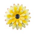 thumbnail image 1 of Metal Flower Wall Art - Outdoor Sunflower Decor | Rustic Farmhouse & Boho Style Wall Ornament | Iron Flower Wall Hanging, Garden Decor, Outdoor Art, Decorative Wall Accent(B), 1 of 8