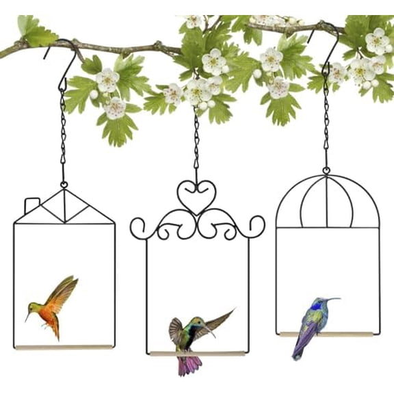 Metal Frame Hummingbird Swings and Perches with Wooden Dowel Black Bird Swing Outdoor Bird Perch Humming Bird Swing (3PK Different)