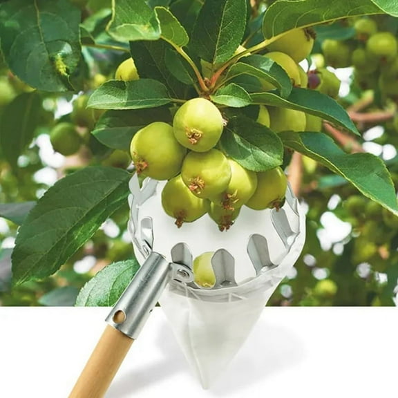 Metal Fruit Picker Orchard Gardening Peach High Tree Picking Tools