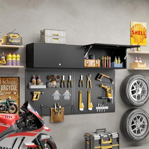 Metal Garage Storage Small WallMounted Locking Hanging