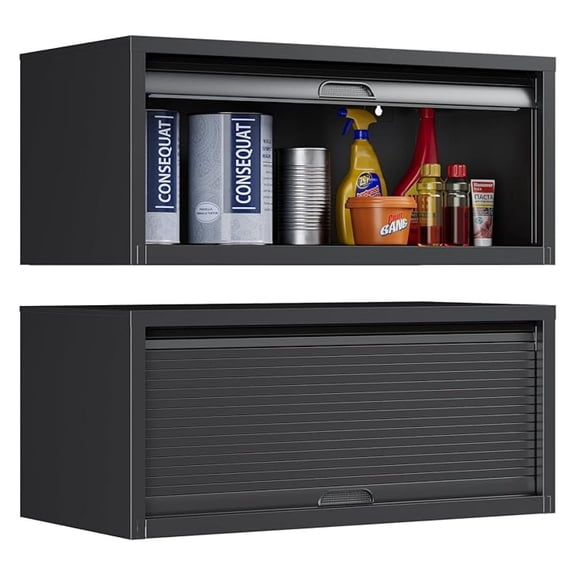 Metal Garage Wall Cabinet with Recessed Handle,Wall Mounted Metal Garage Storage Cabinet,Floating Garage Tool Cabinet for Kitchen,Basement,Garage,Warehouse