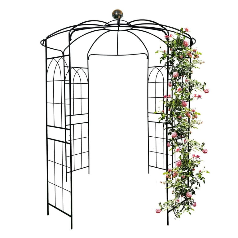 Triple X Birdcage Left Rear Black Triple X Birdcage Left Rear Black