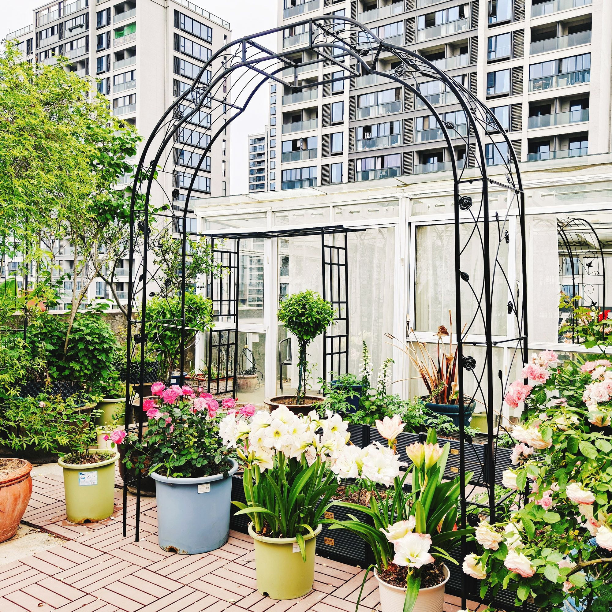 Metal Garden Arch W74.4'' x H98.4'' Garden Arbor Trellis Climbing ...