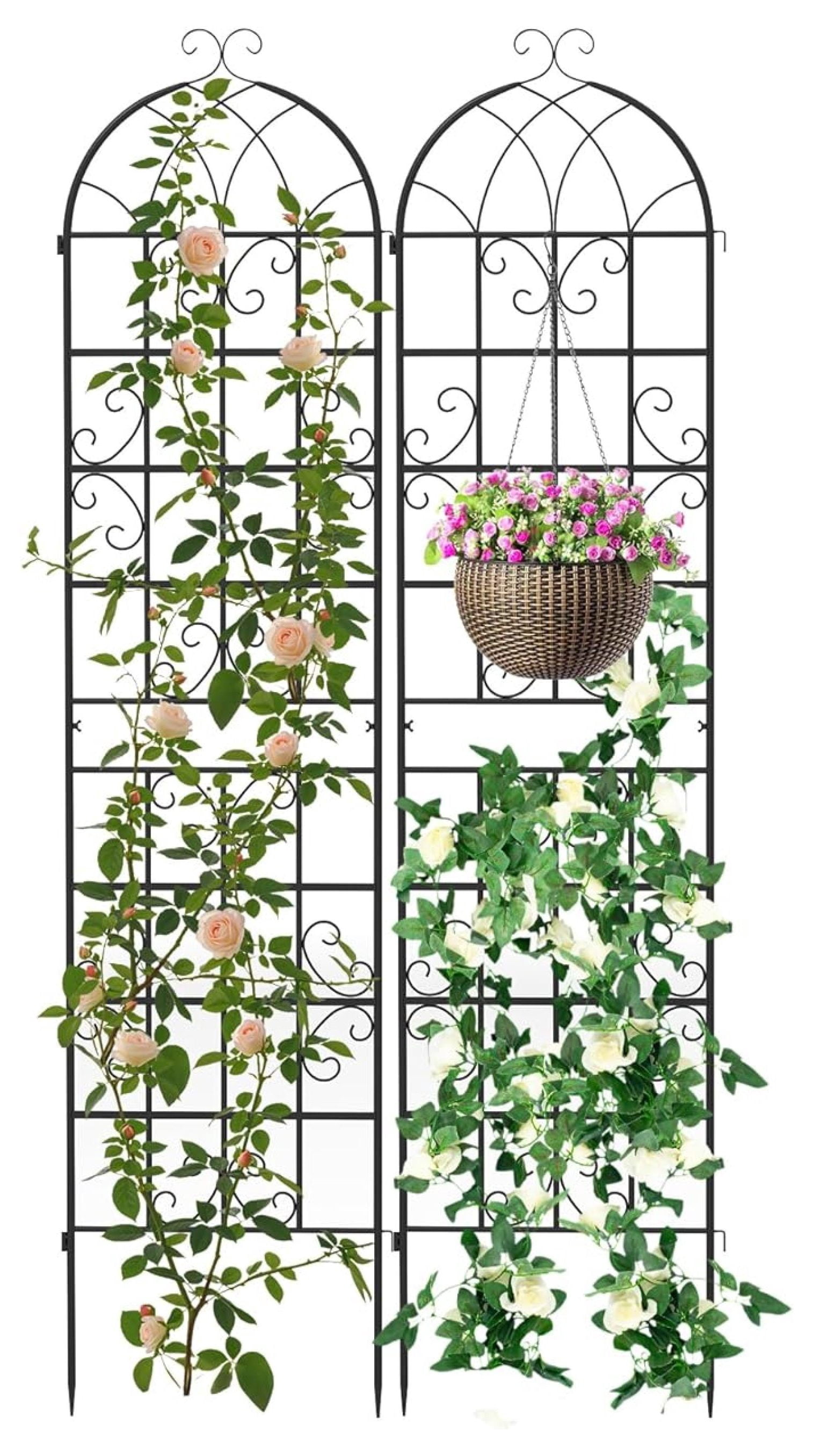 Metal Garden Trellis for Climbing Plants, 2 Pack 87" Tall Fence Trellis Panels, Style Cucumber Trellis, Indoor & Outdoor Decorative Plant Support Stand for Rose Vine, Black