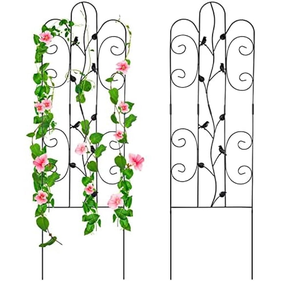 Metal Garden Trellis for Climbing Plants & Roses 61''x 18.5" Plants Support Rustproof Sturdy Leaves Garden Trellis for Vegetables Trellis for Potted Plants Pack of 2 - Black