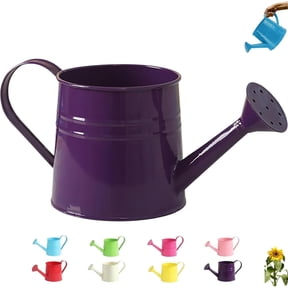 Metal Garden Watering Can, 1L Galvanized Steel Watering Kettle with Long Spout & Handle for Indoor Outdoor Plants