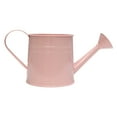 thumbnail image 1 of Metal Garden Watering Can Decorative Iron Watering Jug Wide-spout Spray Bottle for Plants Flower Arrangement Gardening Tool (Pink), 1 of 6
