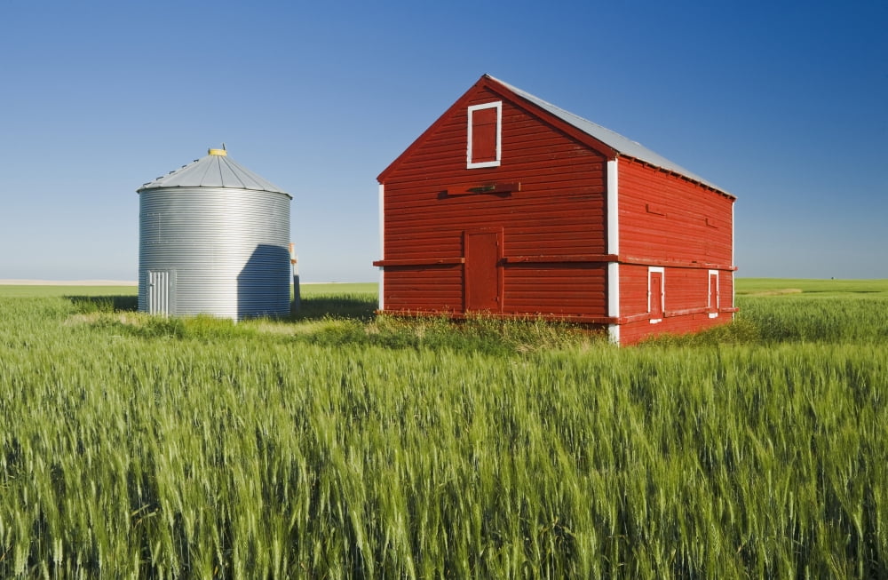 Metal Grain Bin And Wooden Grain Bin In Wheat Field Sceptre Saskatchewan Canada Canvas Art - Dave Reede Design Pics (19 x 12)
