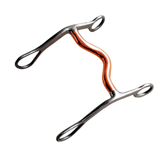 Metal Horse Bit for Training and Everyday Riding, Stainless Steel Construction with a Polishing Two-Tone Finish and Open Cheek Piece for Rein Use