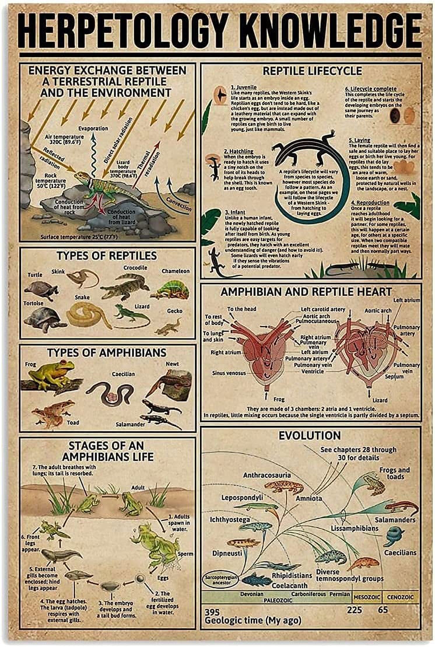 Metal Knowledge Signs Herpetology Knowledge Metal Signs Amphibian and