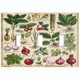 thumbnail image 1 of Metal Light Switch Wall Plate Outlet Cover (Printed Image of Detailed Botanical Labels - Triple Toggle), 1 of 1