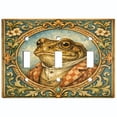 thumbnail image 1 of Metal Light Switch Wall Plate Outlet Cover (Printed Image of Toad Portrait - Triple Toggle), 1 of 1