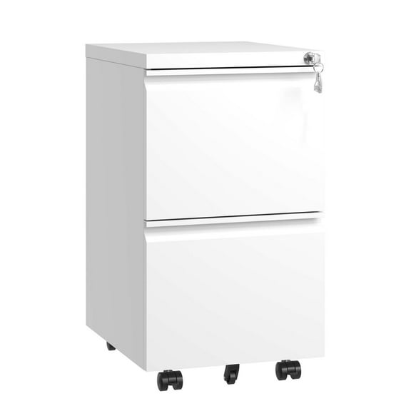 2 Drawer Metal Mobile File Cabinet, Rolling File Cabinet with Lock for Hanging Legal/Letter/A4 Size,Fully Assembled Except Wheels