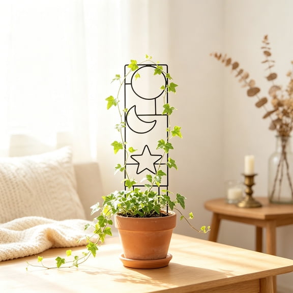 Metal Plant Climbing Support Frame, Rust Proof Matte Coating Firm Ground Insert Base Multi Style Lattice Outline, Vine Growth Trellis for Potted Clematis Ivy Balcony Windowsill Plant Care