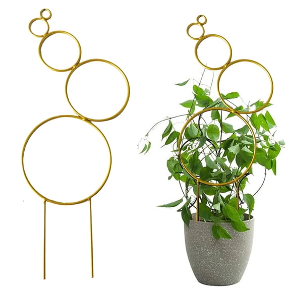Metal Plant Climbing Support Stakes, Outdoor Potted Vine Plant Frame, Anti Rust Gardening Plant Trellis, DIY Climbing Flower Growth Holder, Stylish Home Balcony Plant Decor Frame,Z1#Gold