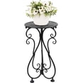 thumbnail image 1 of Metal Plant Stand, Heavy Duty Flower Pot Stand 17" Tall, Single Planter Holder for Indoor, Outdoor, Garden, Patio, Porch, Balcony, Home Decor, Black, 1 of 8