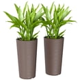 thumbnail image 1 of Metal Planter Box, 1 of 7