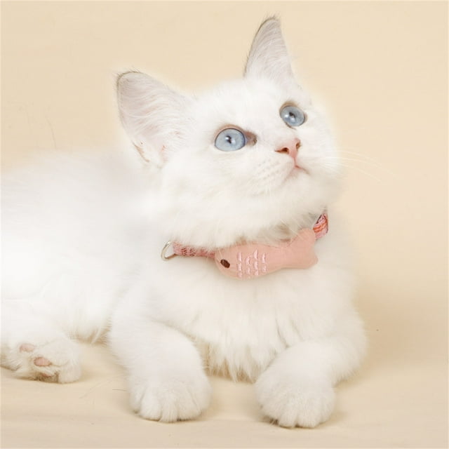 Metal Quick Release Buckle 3/4 Pet Cat Collar Embroidery Collar Cat