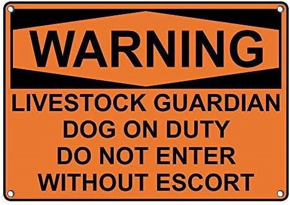 Targa in metallo con scritta Beware Guard Dogs on' Duty Man, decorazione per grotta di caffè, bar, cucina, pub, club, Beware of Dog, per recinzione, porta o cancello, poster artistico regalo per