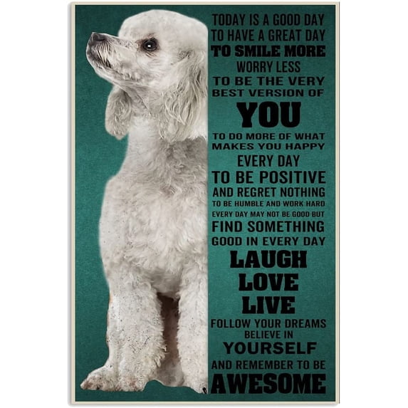 Metal Sign Poodle Today Is A Good Day To Have A Great Day Tyo Smile Sign Retro Metal Signs Vintage Aluminum Tin Sign for Kitchen Home Office Cafe 8x12 Inch