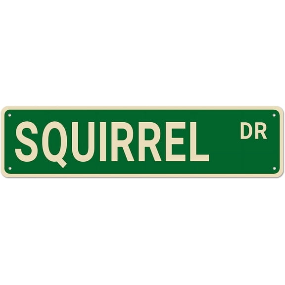 Metal Sign SQUIRREL DR Vintage Tin Signs Plaque for Bedroom Kitchen Garden Wall Bar Club Coffee Hanging Sign Home Decor 4"x16"