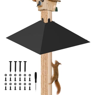 How to Make a Squirrel And Raccoon Bird Feeder Baffle: Ultimate Guide