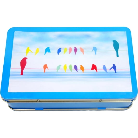 Metal Storage Box (s)