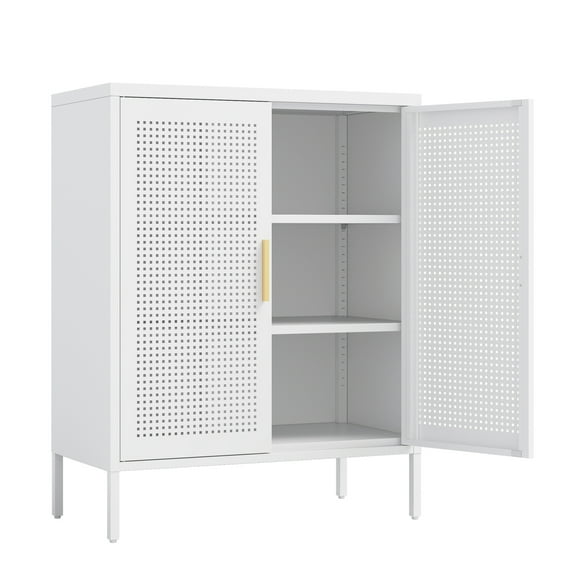 Metal Storage Cabinet with 2 Doors and 2 Adjustable Shelves, Steel Storage Cabinet, Metal File Cabinet for Home Office School Gym