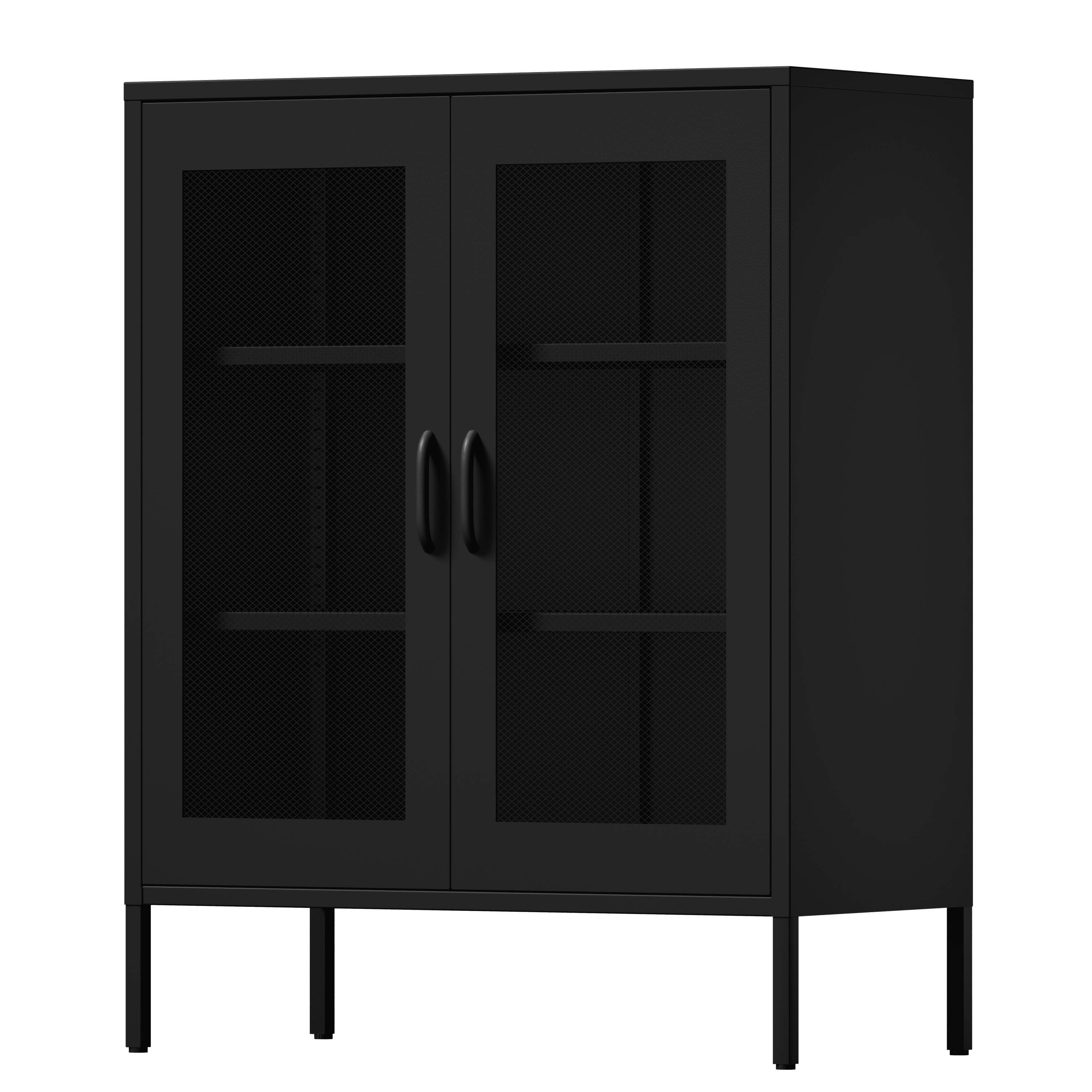Black Metal Storage Cabinet with Adjustable Shelves and Mesh Doors