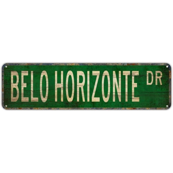 Metal Tin BELO HORIZONTE DR Funny Vintage Retro for Bedroom Kitchen Garden Wall Bab Club Coffee Hanging Home Decor 4" x 16"