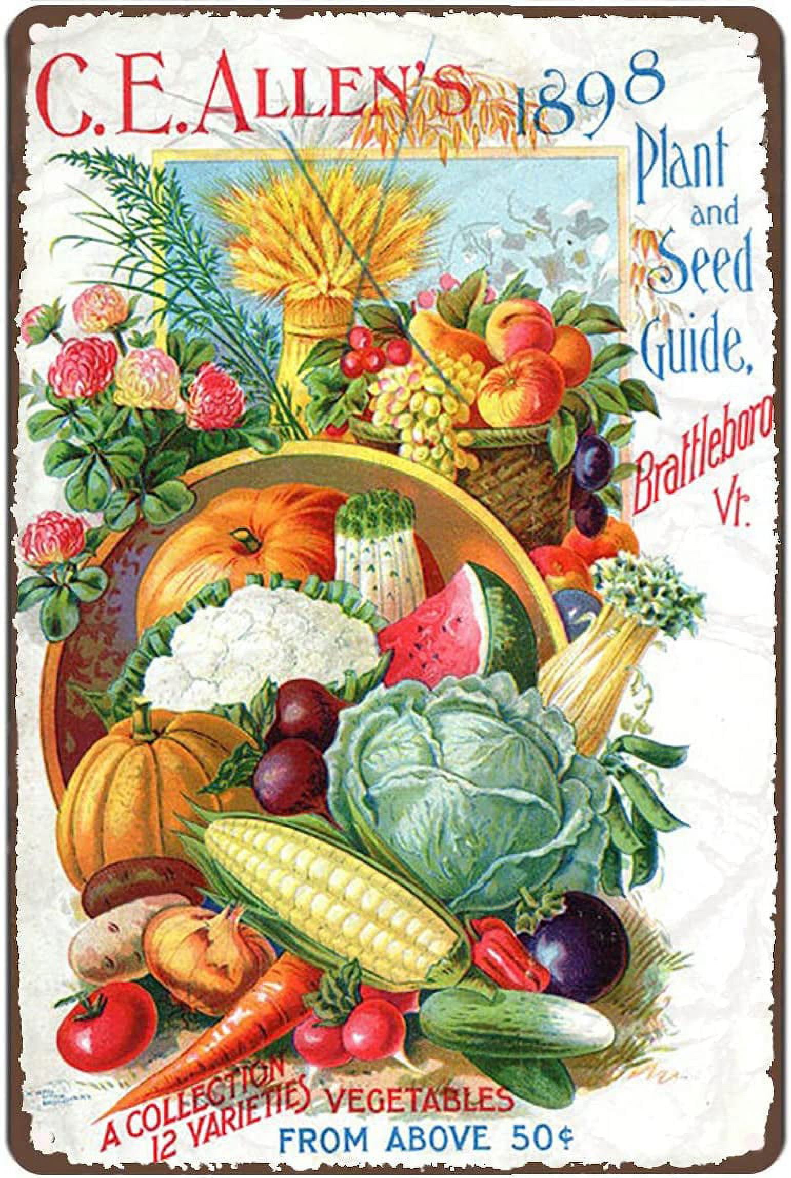 その他 VINTAGE CALIFORNIA FREE FORM VEGETABLE VINTAGE CALIFORNIA FREE FORM VEGETABLE
