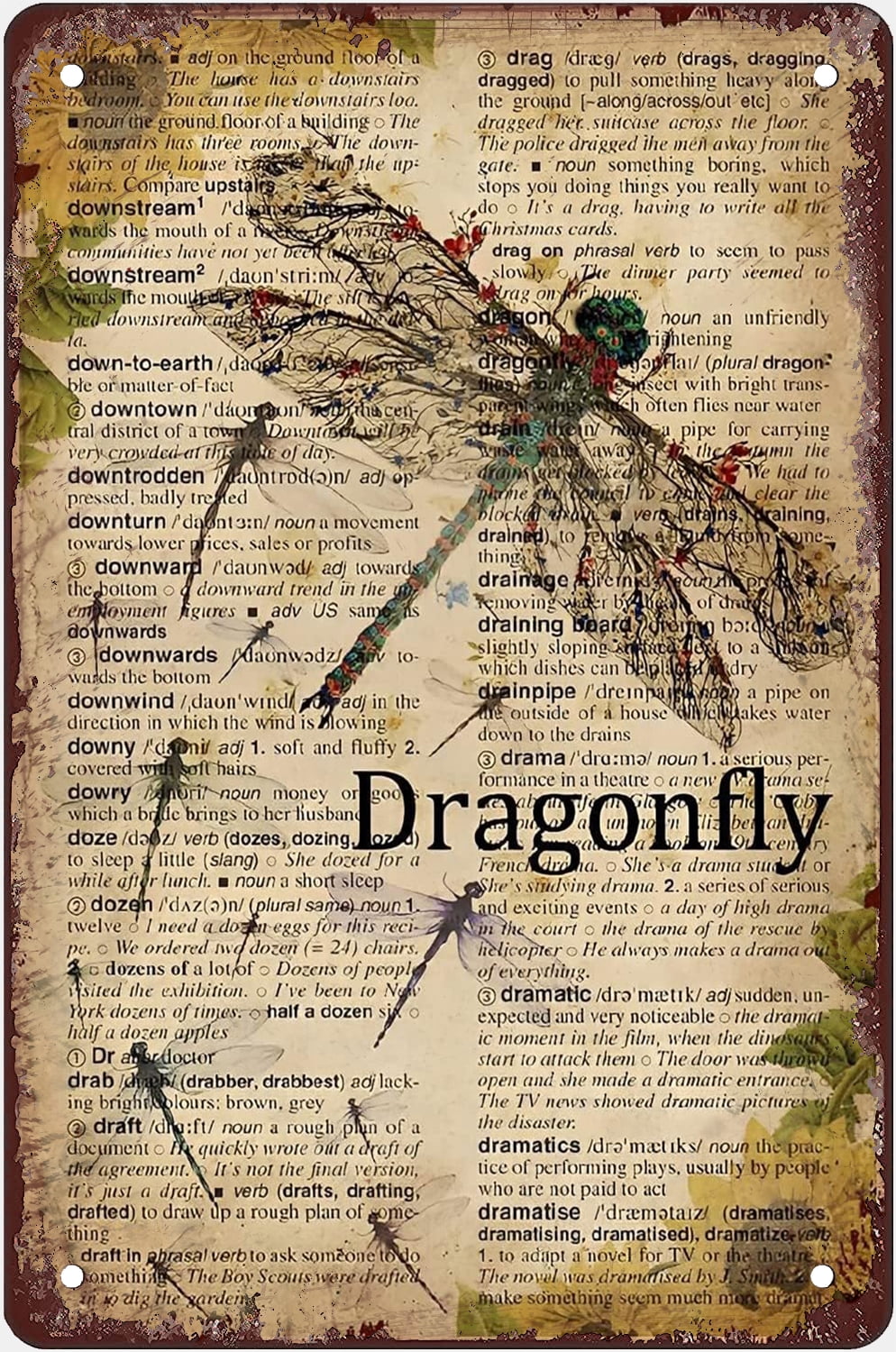 Metal Tin Sign 12x16 Inch Vintage Dictionary Dragonfly Poster Metal ...