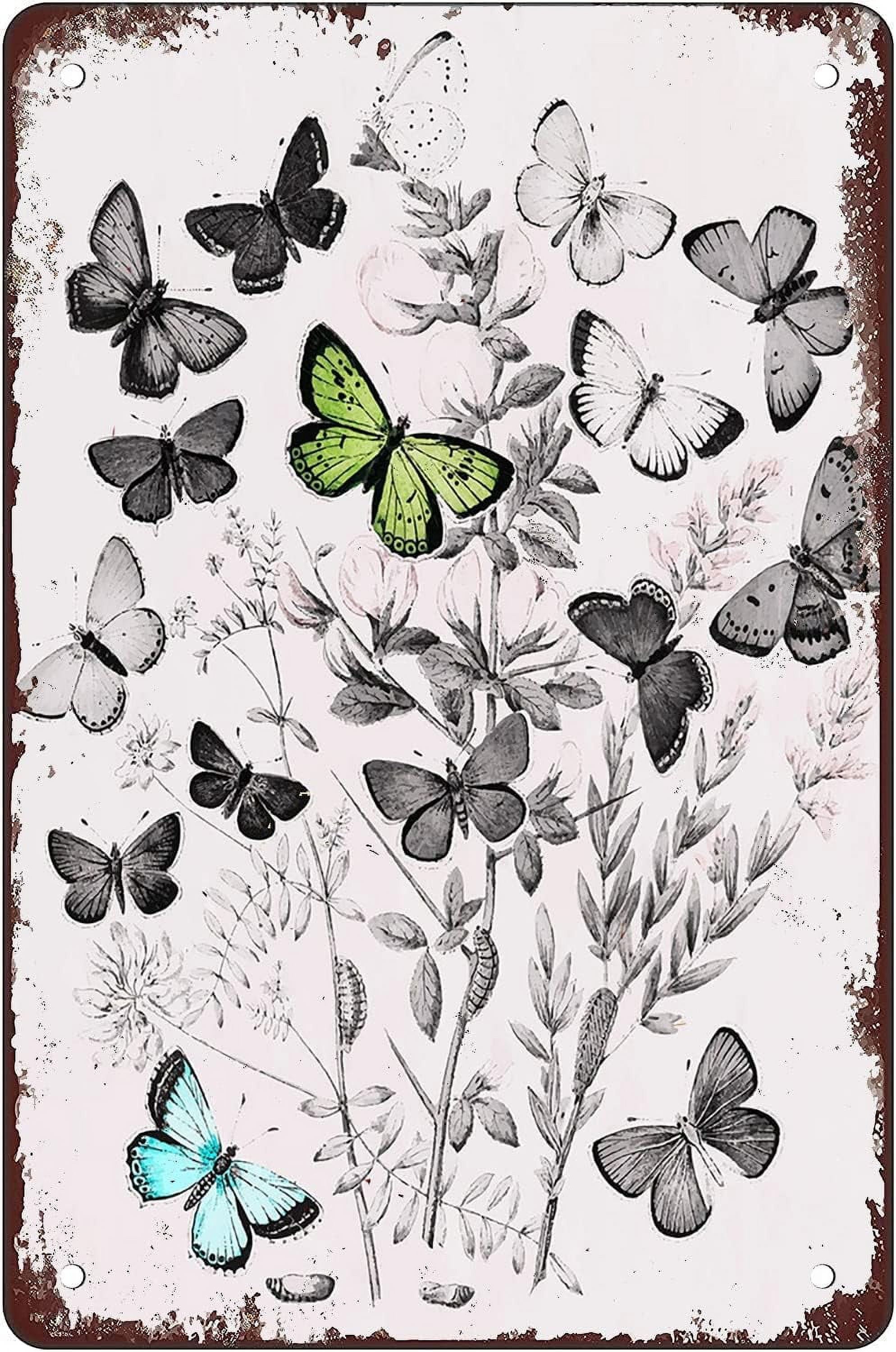 Metal Tin Sign 8x12 Inch Vintage Butterfly Tin Sign Vintage Room Decor ...