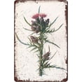 Metal Tin Sign 8x5.5 Inch Familiar Wild Flowers Thistle Tin Signs