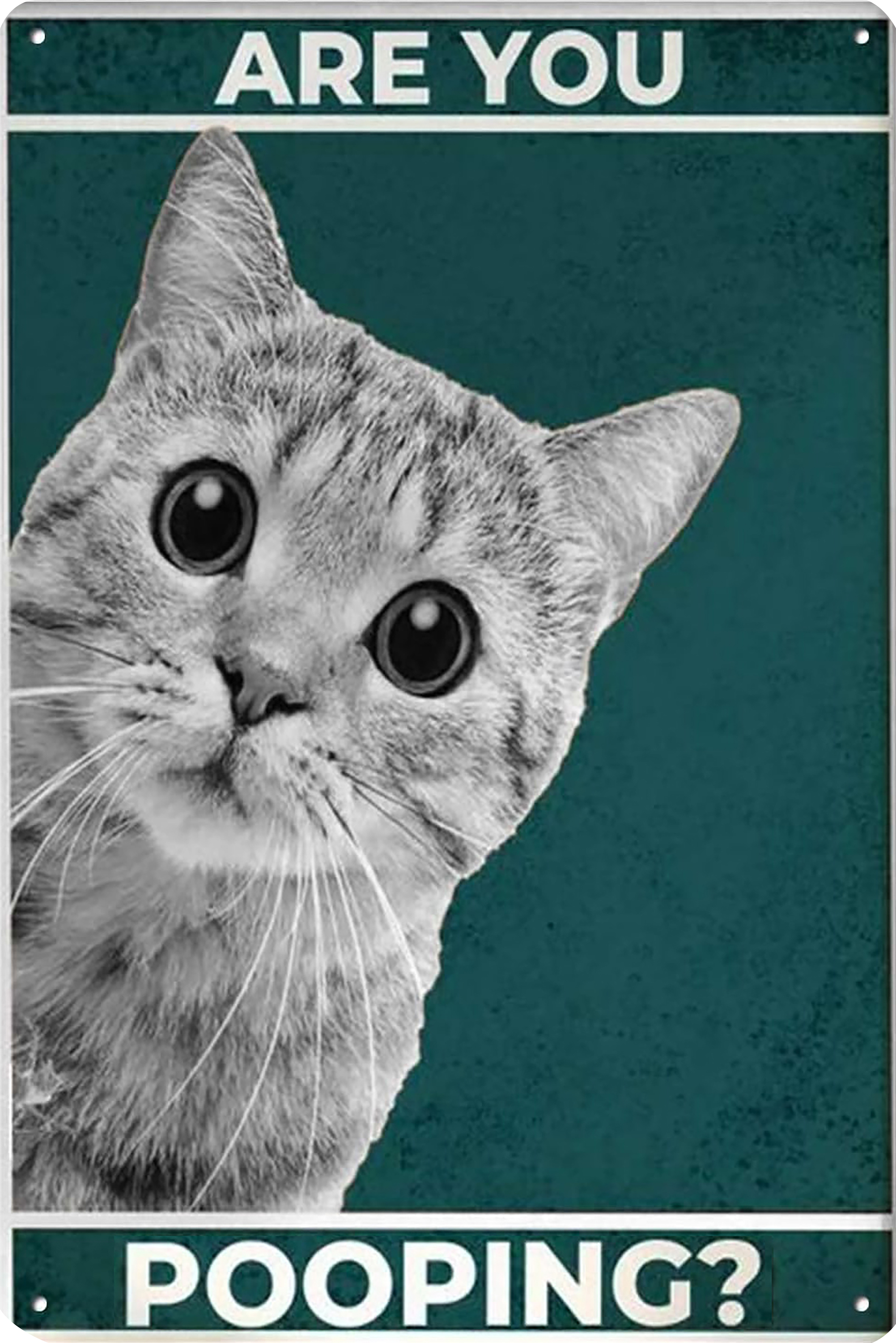 Metal Tin Sign, Are You Pooping Signs, Funny Tin Signs Bathroom ...