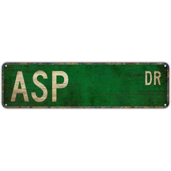 Metal Tin Sign Asp sign Retro Aluminum Metal Sign for Street Home Office Garden Decor 4×16 Inches.jpg