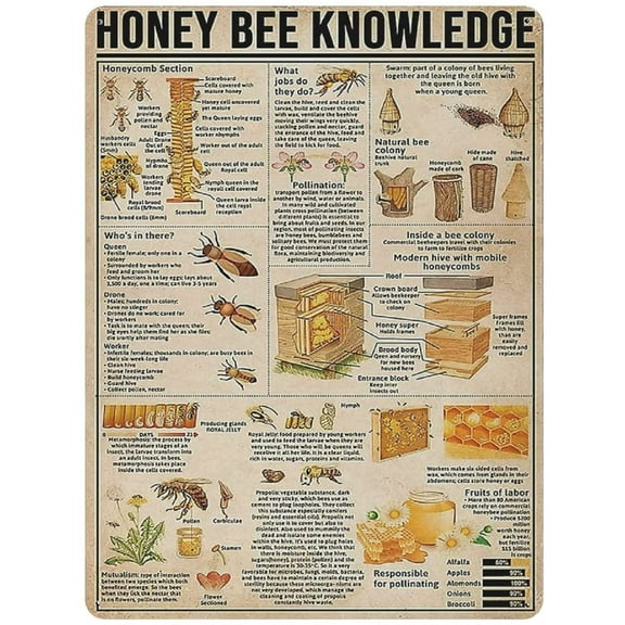 Metal Tin Sign Honey Bee Knowledge Vintage Tin Poster Metal Sign Wall Decoration Country Kitchen Home Garage Decor 16"x12"