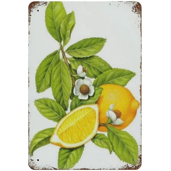 Metal Tin Sign Lemon Vintage Tin Poster Metal Sign Wall Decoration Country Kitchen Home Garage Decor 16"x12"