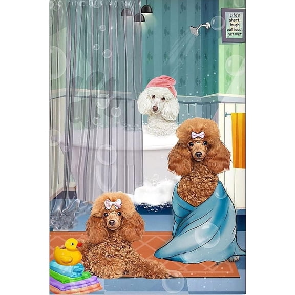 Metal Tin Sign Life's Short Laugh Out Loud Get Wet Funny Poodle Bathroom Wall Decor 8 x 12 Inch Waterproof Vintage Style Poster