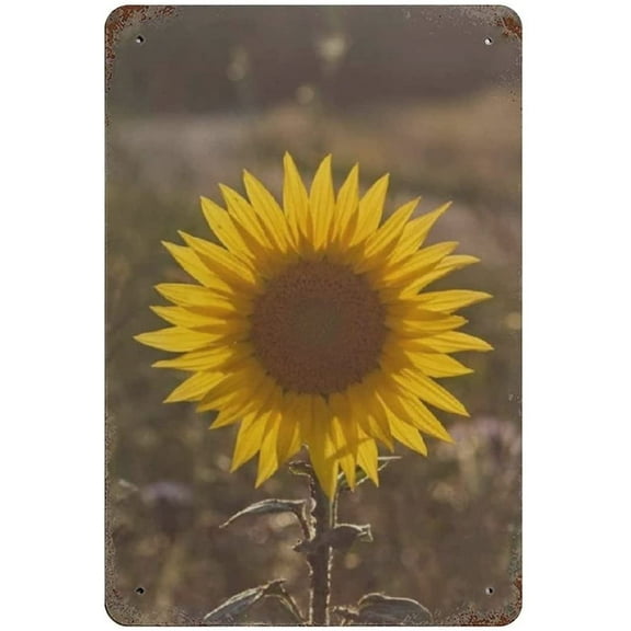 Metal Tin Sign Sunflower Vintage Tin Poster Metal Sign Wall Decoration Country Kitchen Home Garage Decor 12"x8"