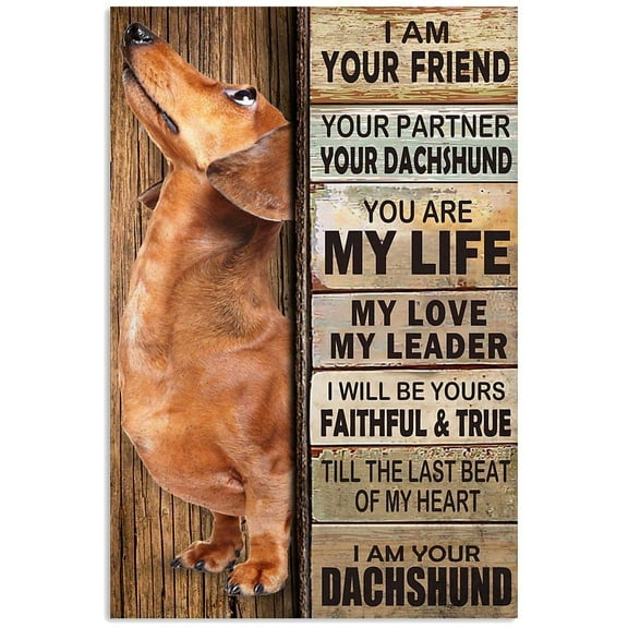 Metal Tin Signs Dachshund Bath SOAP WASH Your Dachshund Funny Bathroom Quote Art Picture Decor Poster Man cave Decoration 12x8 inch