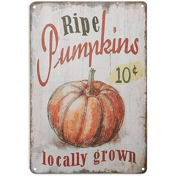 Metal Tin Signs Funny 10 Cent Ripe Pumpkins Locally Grown Retro Vintage Kitchen Alumnium Signs Farm Decorative Country Iron Painting Decoration 8x12inch For Home Bar Pub Garage Cafe Wall Decor