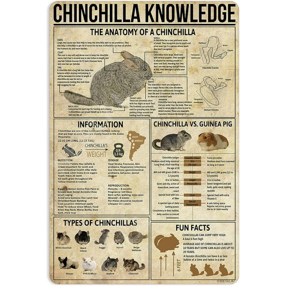 Metal Tin Signs White-Tailed Deer Knowledge Hunting Knowledge Poster Farmhouse Farm Home Kitchen Club Wall Decor 16x12 Inch