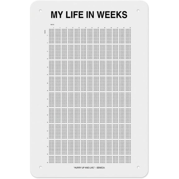 Metal Wall Art Tin Sign with Life Weeks Calendar Grid and Motivational Seneca Quote 12x8 Inch for Home Office Study Decor Gift