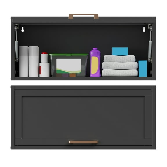 Metal Wall Cabinet with Door,Floating Kitchen Cabenit with Pegboard,Wall Storage Cabinet for Home, Hanging Cabinet for Wall,Upper Cabinets for Laundry Room(13.78" H,Black)