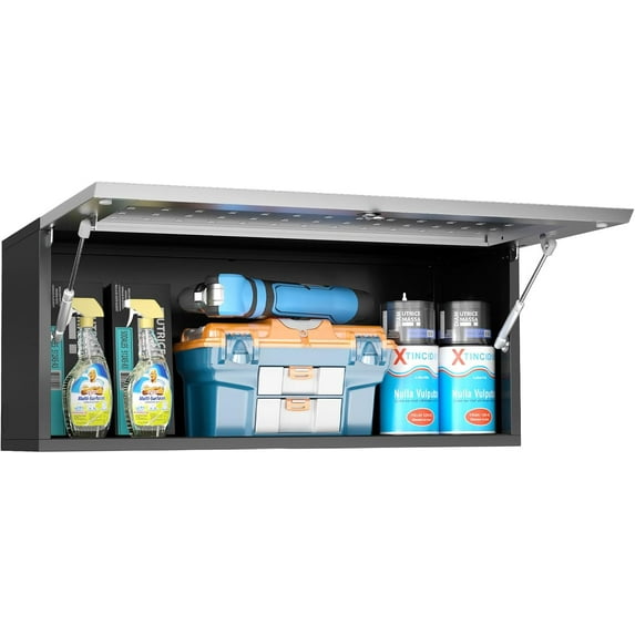 Metal Wall Cabinet, Garage Cabinet Wall Mounted with Gas Spring & Lock, Wall Mount Tool Cabinet for Workshop, Warehouse, Enclosed Trailers Cabinet, 13"D x 32"W x 14"H, Black, Assembly Required